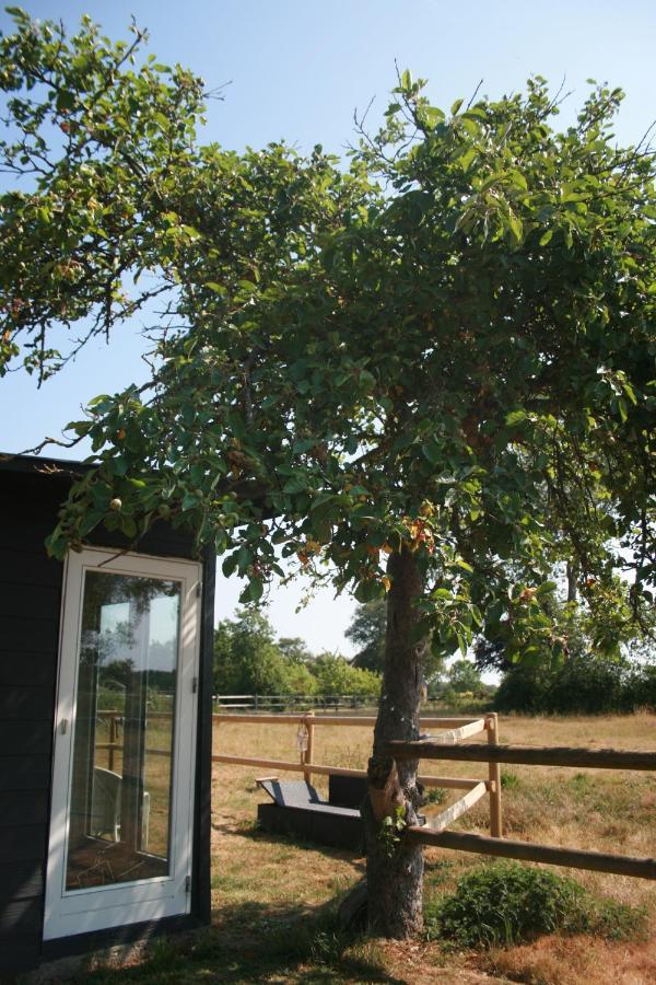 Falsterly Glamping Horbelöv Exterior foto